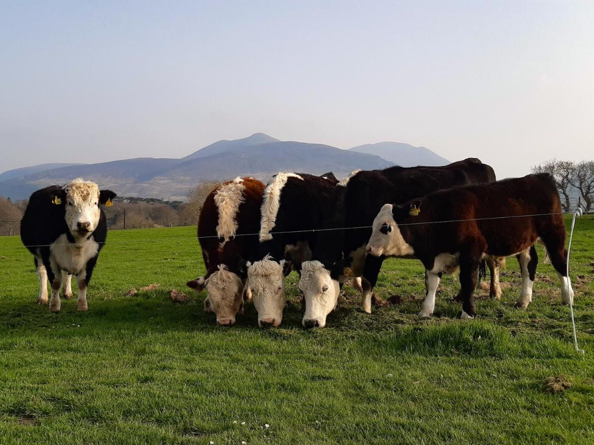 Inveraray Farm Beaufort Екстериор снимка
