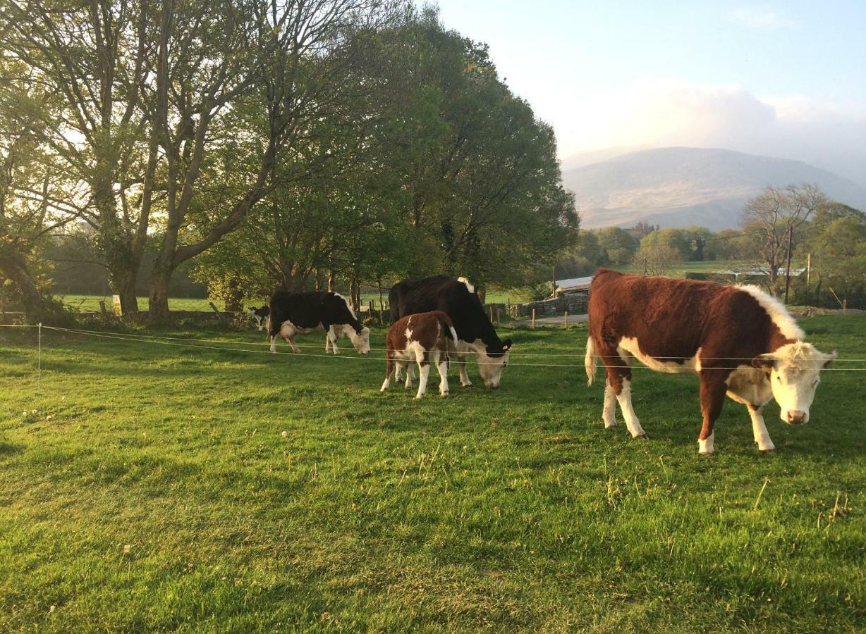 Inveraray Farm Beaufort Екстериор снимка